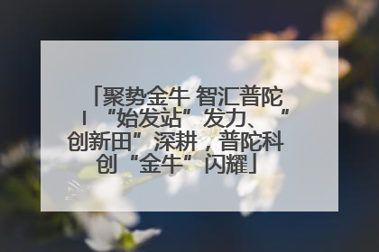 聚势金牛 智汇普陀〡“始发站”发力、“创新田”深耕，普陀科创“金牛”闪耀