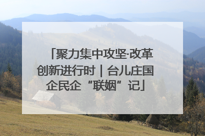 聚力集中攻坚·改革创新进行时｜台儿庄国企民企“联姻”记
