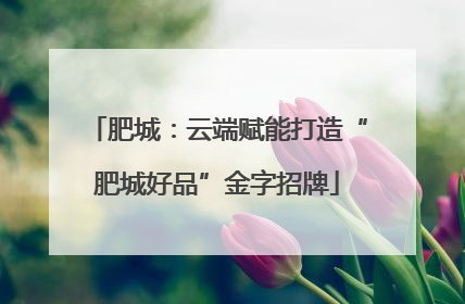 肥城：云端赋能打造“肥城好品”金字招牌