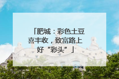 肥城：彩色土豆喜丰收，致富路上好“彩头”