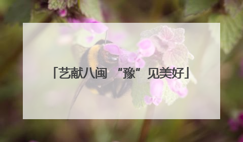 艺献八闽 “豫”见美好