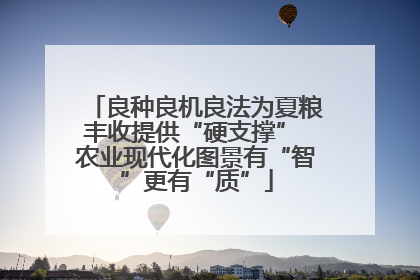 良种良机良法为夏粮丰收提供“硬支撑” 农业现代化图景有“智”更有“质”
