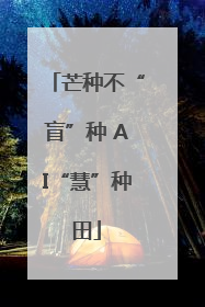 芒种不“盲”种 AI“慧”种田