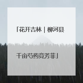 花开吉林｜柳河县千亩芍药竞芳菲