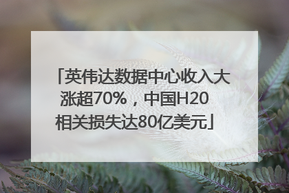 英伟达数据中心收入大涨超70%，中国H20相关损失达80亿美元