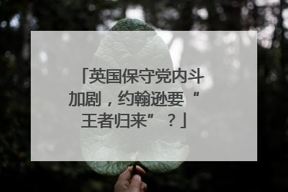 英国保守党内斗加剧，约翰逊要“王者归来”？