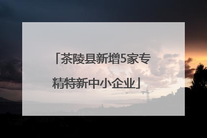 茶陵县新增5家专精特新中小企业