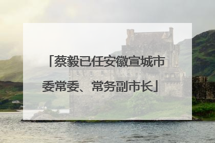 蔡毅已任安徽宣城市委常委、常务副市长