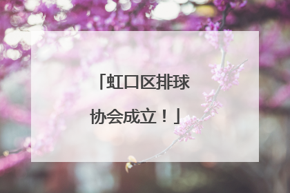 虹口区排球协会成立！