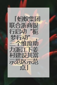 蚂蚁集团联合浙商银行启动“栀梦行动”，三个维度助力浙江下姜村建设共富示范区示范点