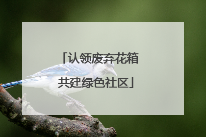 认领废弃花箱 共建绿色社区