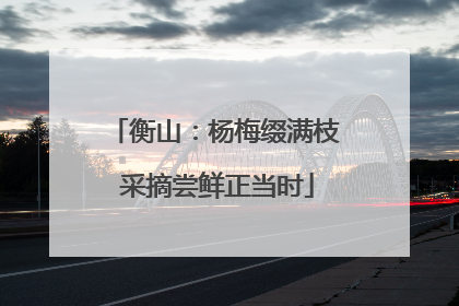 衡山：杨梅缀满枝 采摘尝鲜正当时