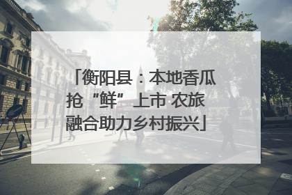 衡阳县：本地香瓜抢“鲜”上市 农旅融合助力乡村振兴