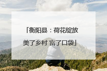 衡阳县：荷花绽放 美了乡村 富了口袋