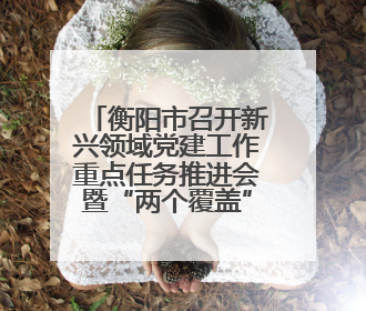 衡阳市召开新兴领域党建工作重点任务推进会暨“两个覆盖”集中攻坚工作专班 第一次会议