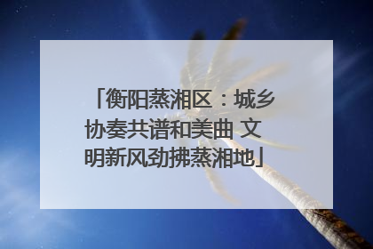 衡阳蒸湘区：城乡协奏共谱和美曲 文明新风劲拂蒸湘地