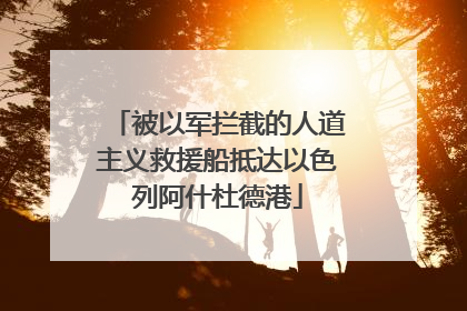 被以军拦截的人道主义救援船抵达以色列阿什杜德港