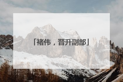 褚伟，晋升副部