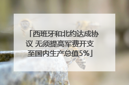 西班牙和北约达成协议 无须提高军费开支至国内生产总值5%