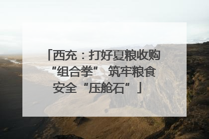 西充：打好夏粮收购“组合拳” 筑牢粮食安全“压舱石”