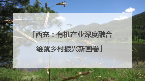 西充：有机产业深度融合 绘就乡村振兴新画卷
