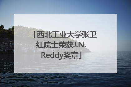 西北工业大学张卫红院士荣获J.N.Reddy奖章