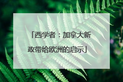 西学者：加拿大新政带给欧洲的启示