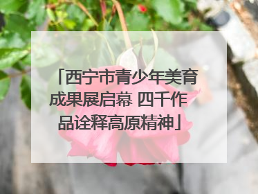 西宁市青少年美育成果展启幕 四千作品诠释高原精神
