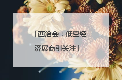 西洽会：低空经济展商引关注