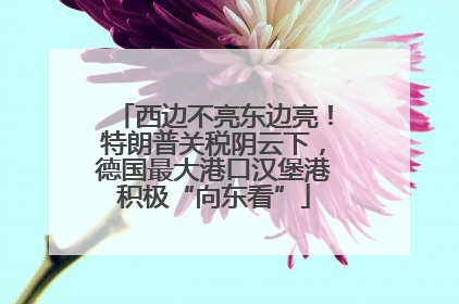 西边不亮东边亮！特朗普关税阴云下，德国最大港口汉堡港积极“向东看”