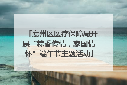襄州区医疗保障局开展“粽香传情，家国情怀”端午节主题活动