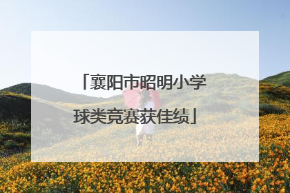 襄阳市昭明小学球类竞赛获佳绩