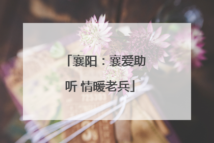 襄阳：襄爱助听 情暖老兵