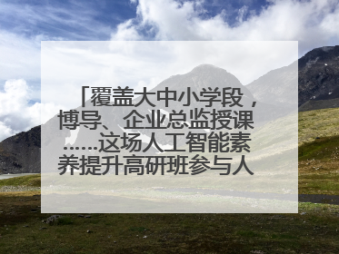 覆盖大中小学段，博导、企业总监授课……这场人工智能素养提升高研班参与人次达30万
