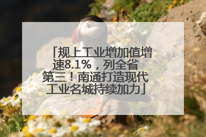 规上工业增加值增速8.1%，列全省第三！南通打造现代工业名城持续加力