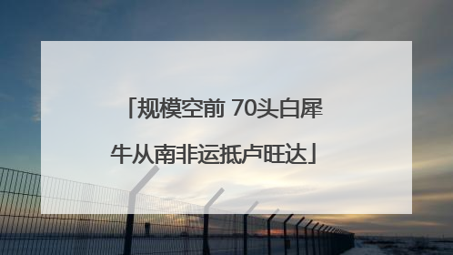 规模空前 70头白犀牛从南非运抵卢旺达