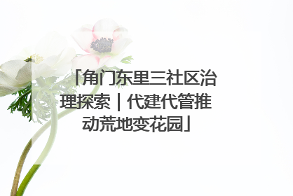 角门东里三社区治理探索｜代建代管推动荒地变花园