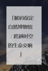解码保定自然博物馆：跨越时空的生命交响