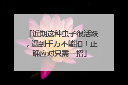 近期这种虫子很活跃，遇到千万不能拍！正确应对只需一招