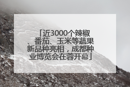 近3000个辣椒、番茄、玉米等蔬果新品种亮相，成都种业博览会在蓉开幕