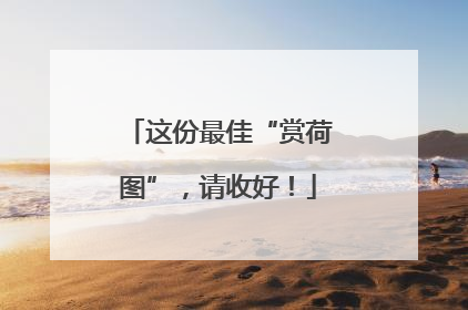 这份最佳“赏荷图”，请收好！
