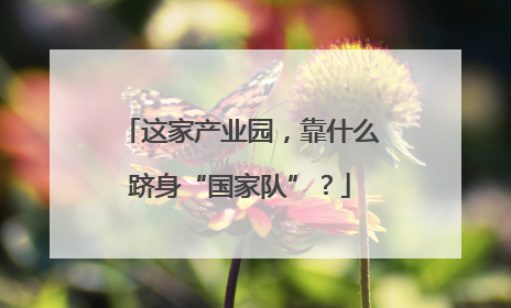 这家产业园，靠什么跻身“国家队”？