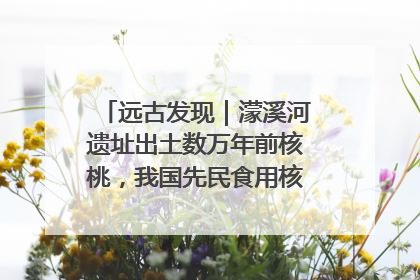 远古发现｜濛溪河遗址出土数万年前核桃，我国先民食用核桃历史大幅提前