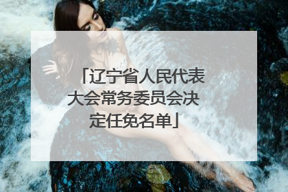 辽宁省人民代表大会常务委员会决定任免名单