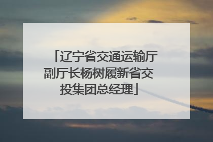 辽宁省交通运输厅副厅长杨树履新省交投集团总经理