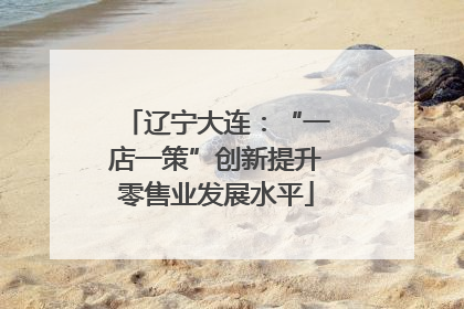 辽宁大连：“一店一策”创新提升零售业发展水平