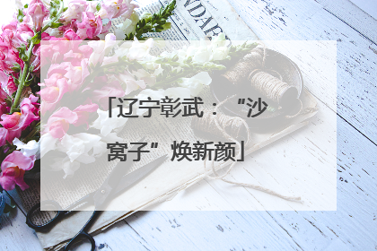 辽宁彰武：“沙窝子”焕新颜