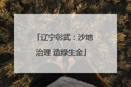 辽宁彰武：沙地治理 造绿生金