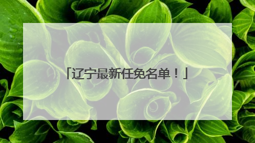 辽宁最新任免名单！