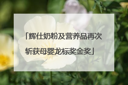 辉仕奶粉及营养品再次斩获母婴龙标奖金奖